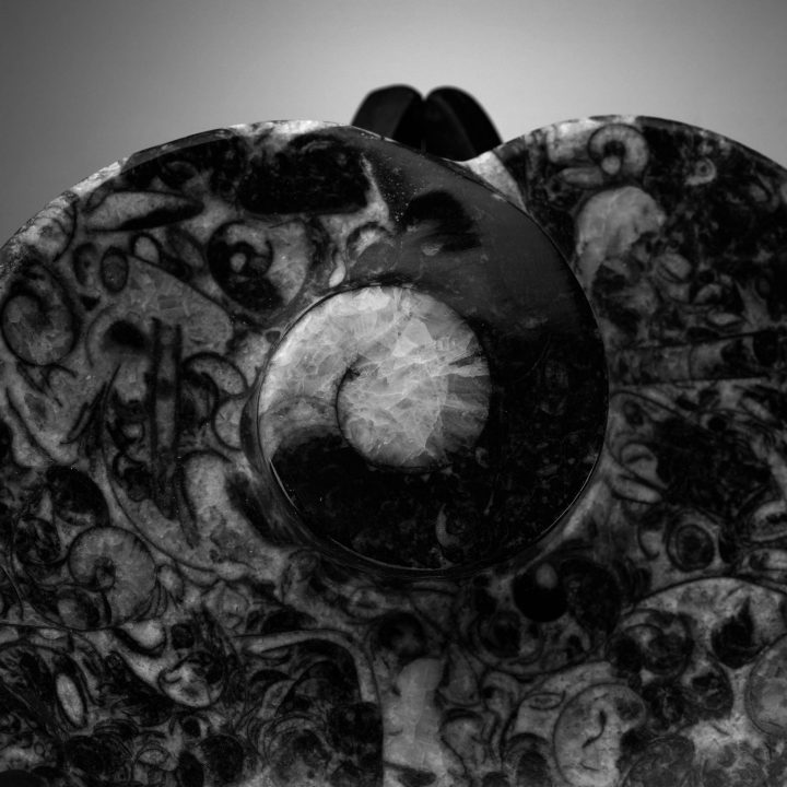 Hand-carved heart-shaped fossil dish featuring Ammonite and Belemnite fossils in dark Moroccan shale