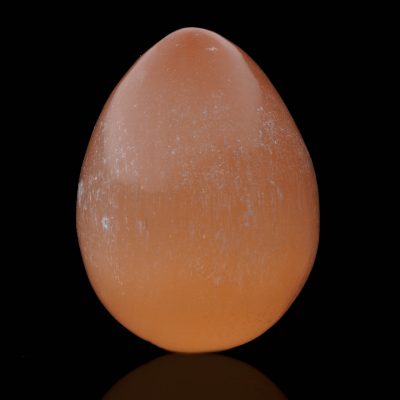 egg AWSEL201
