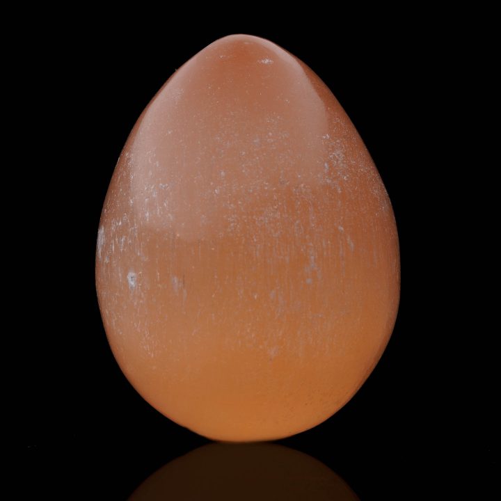 egg AWSEL201