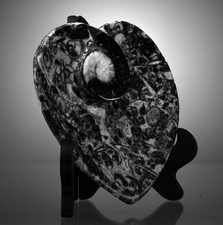Hand-carved heart-shaped fossil dish featuring Ammonite and Belemnite fossils in dark Moroccan shale