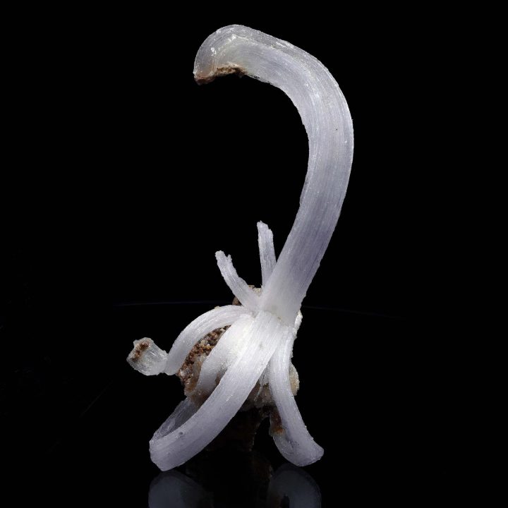 Selenite "Ram’s Horns" - Image 5