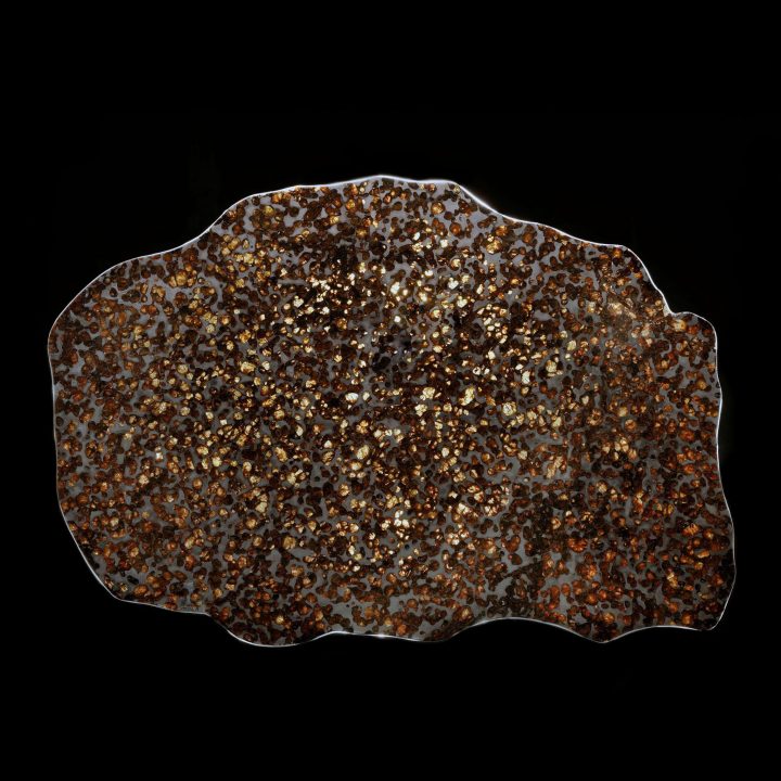 Big Pallasite Meteorite Slice