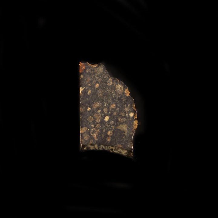 The Creator of Life Meteorite – Organic-Rich Space Rock in Collector’s Display Box - Image 2