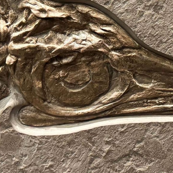 Rare 125,000,000 million year old Ichthyosaur fossil from Germany