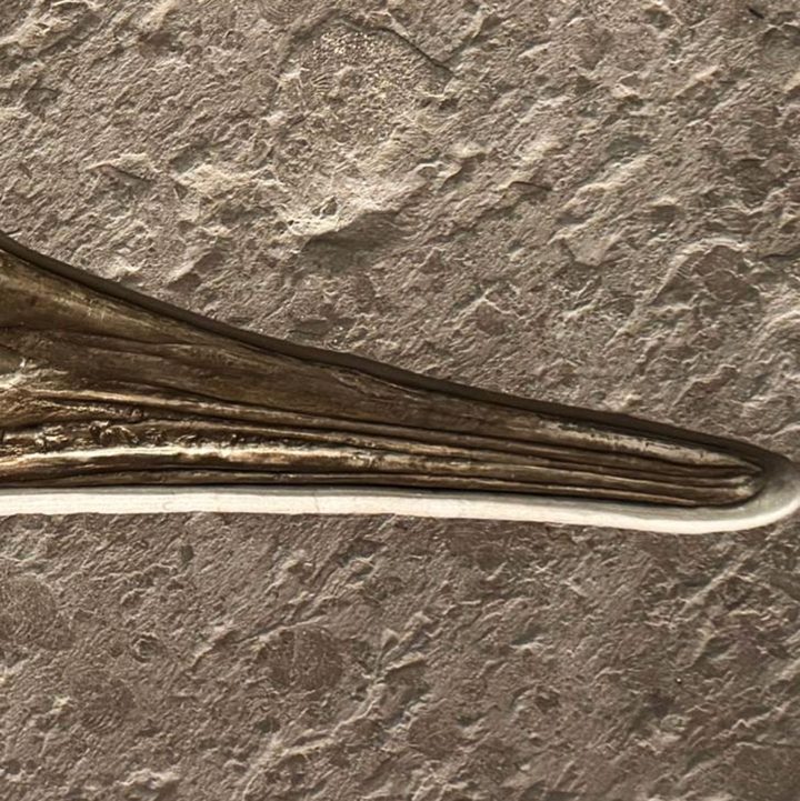 Rare 125,000,000 million year old Ichthyosaur fossil from Germany