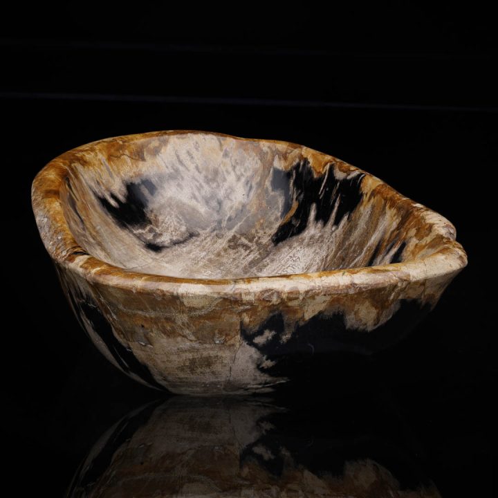 Petrified wood bowl from Indonesia with polished interior and natural rim