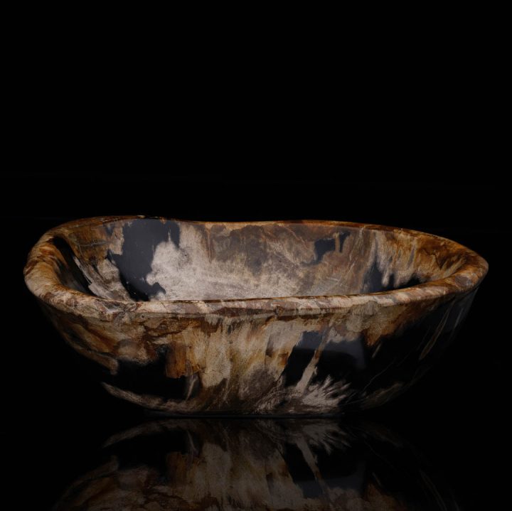 Fossil wood bowl with deep interior patterning and light exterior tones