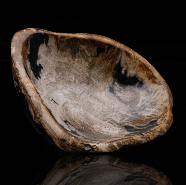 Natural petrified wood bowl with polished finish and organic edge