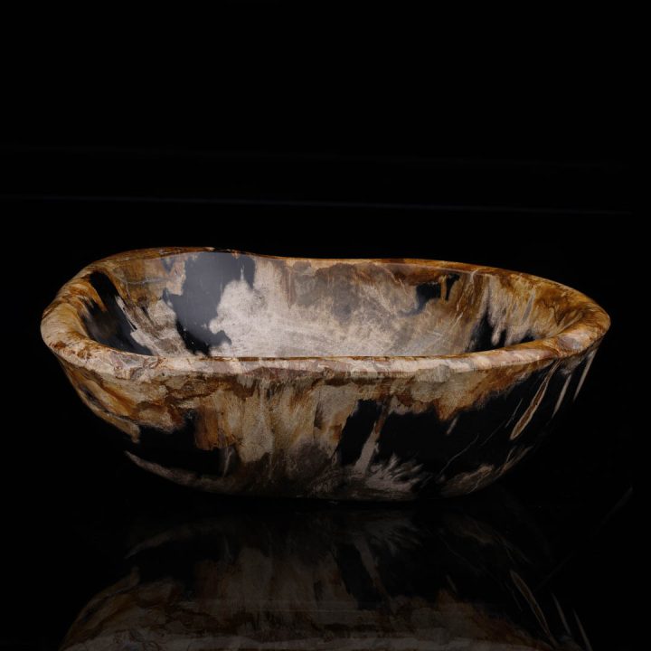 Indonesian petrified wood bowl showing dark interior and contrasting beige exterior