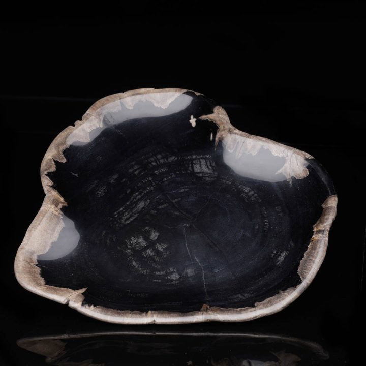 Fossil wood plate with dark inner pattern and beige outer rim