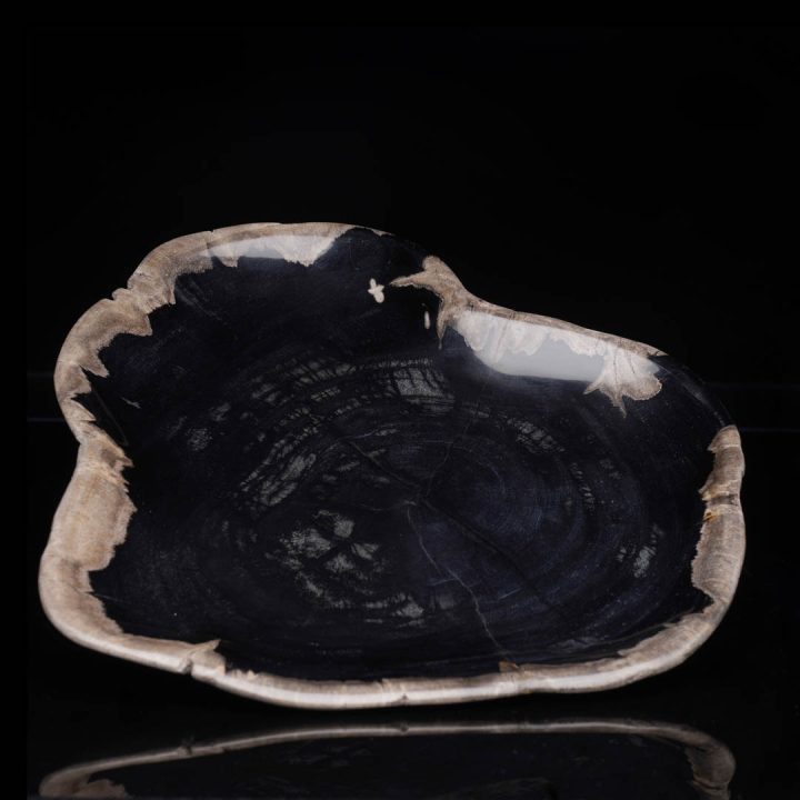 Polished Indonesian petrified wood dish showing dark fossil interior