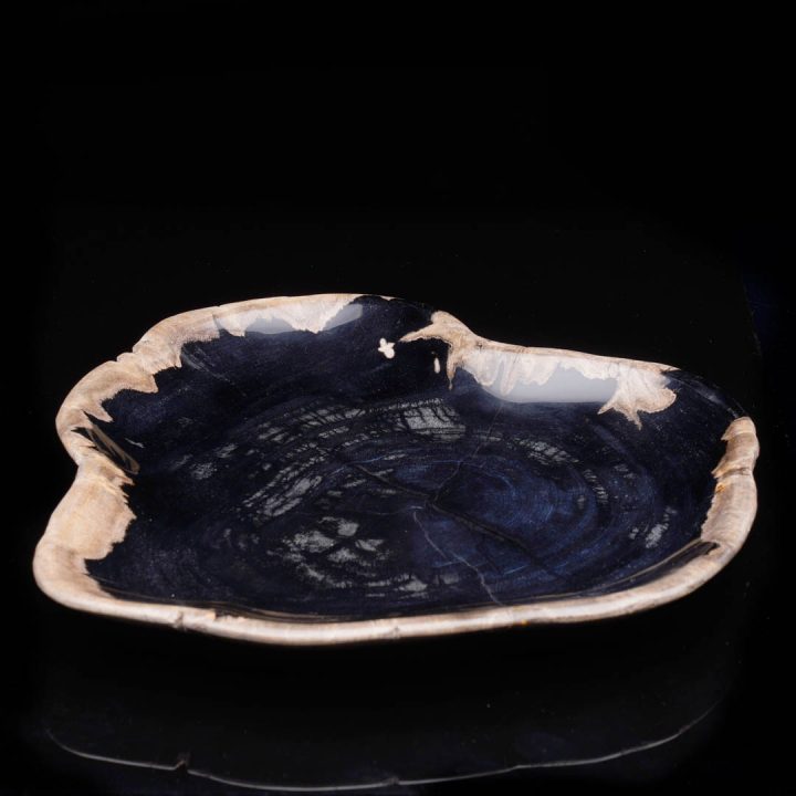 Petrified wood plate from Indonesia with polished center and natural edge