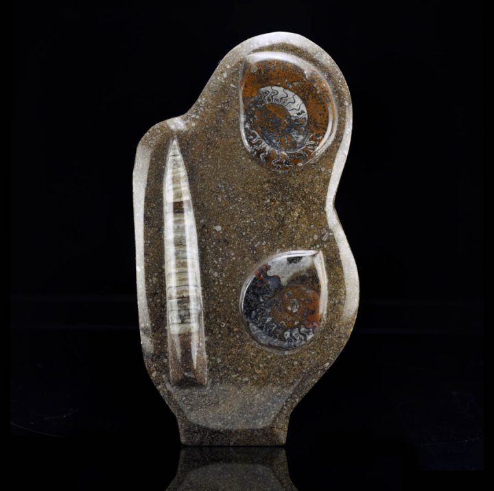 Hand-carved ammonite and belemnite fossil sculpture with natural stone texture