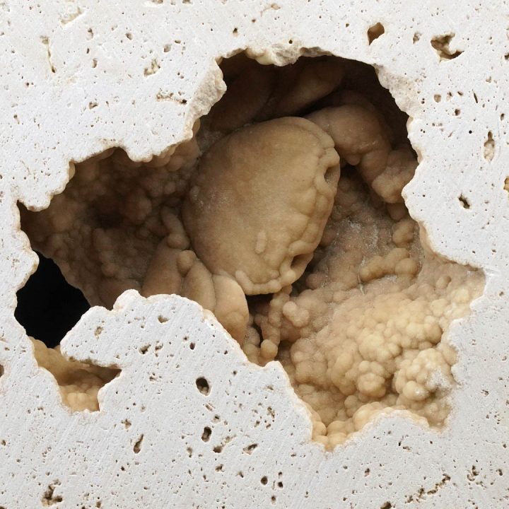 Fossilized crab embedded within limestone matrix with natural cavity