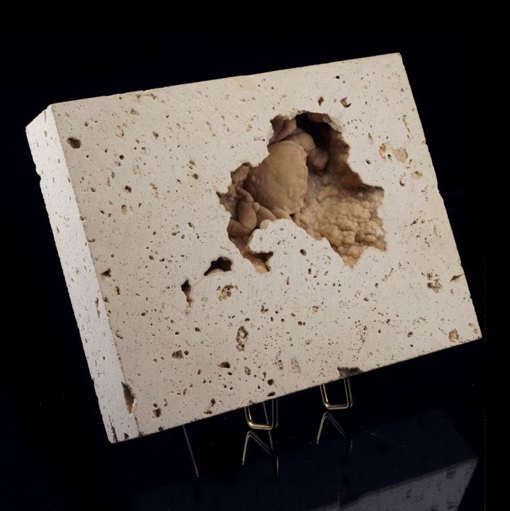 Collector fossil crab preserved in limestone with natural void