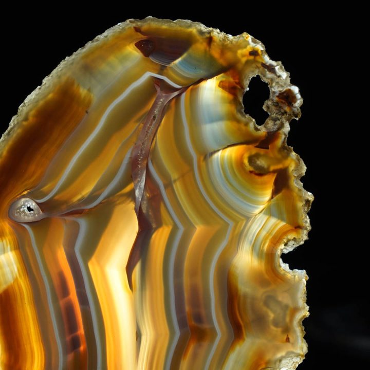 Natural agate slice with translucent center and warm earth tones