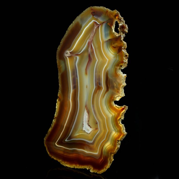Striking agate slice with bold concentric layers and glossy finish