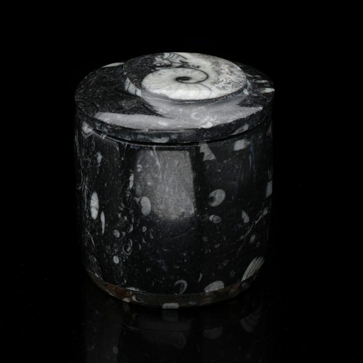 Ammonite and Belemnite Hand-Carved Fossil Container - Natural Decor