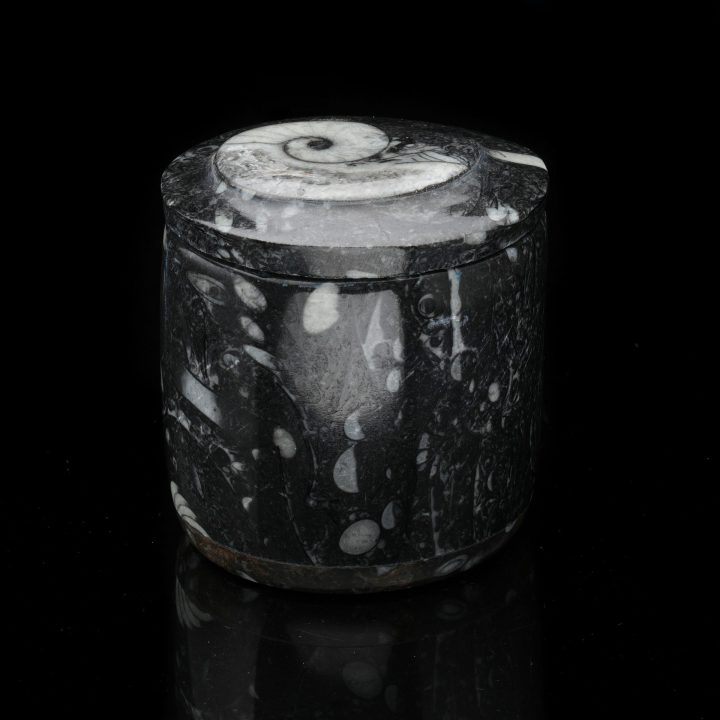Ammonite and Belemnite Hand-Carved Fossil Container - Natural Decor