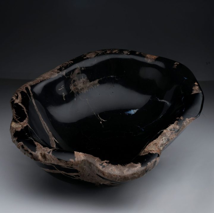 Genuine Indonesian Petrified Wood Center Decorative Bowl – Luxury Natural Home Décor