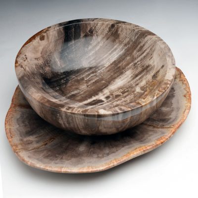 Exclusive One-of-a-Kind Set / Hand-Carved Indonesian Petrified Wood Bowls and Plates