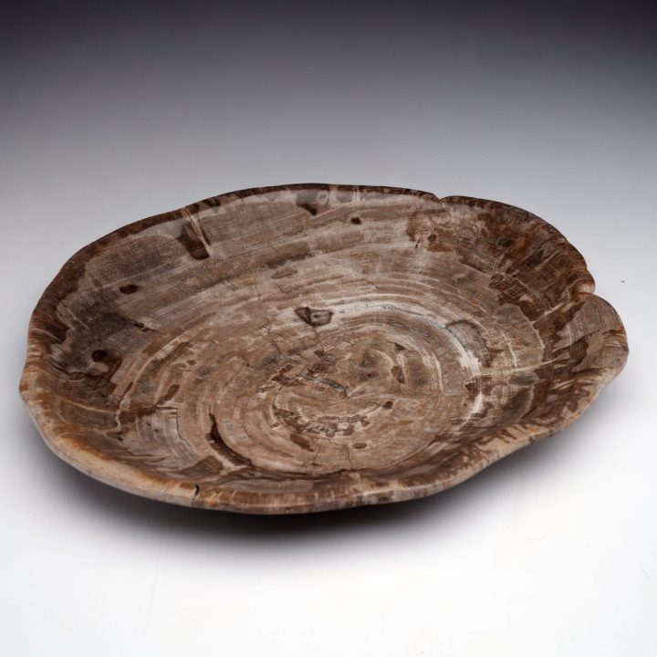 Exclusive One-of-a-Kind Set / Hand-Carved Indonesian Petrified Wood Bowls and Plates