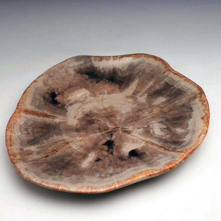 Exclusive One-of-a-Kind Set / Hand-Carved Indonesian Petrified Wood Bowls and Plates