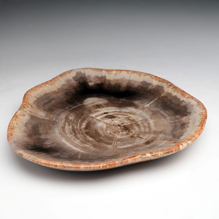 Exclusive One-of-a-Kind Set / Hand-Carved Indonesian Petrified Wood Bowls and Plates