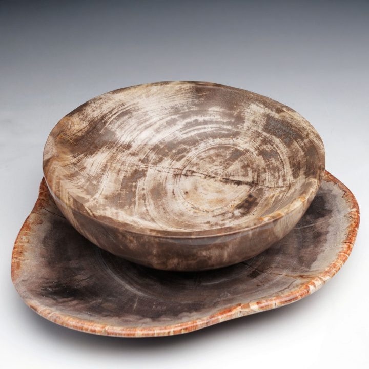 Exclusive One-of-a-Kind Set / Hand-Carved Indonesian Petrified Wood Bowls and Plates