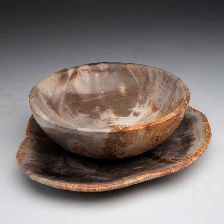 Exclusive One-of-a-Kind Set / Hand-Carved Indonesian Petrified Wood Bowls and Plates