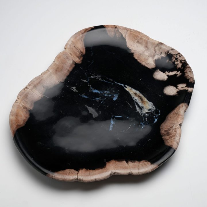 One of a Kind Set of Hand-Carved Indonesian Petrified Wood Plates