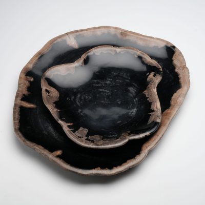 One of a Kind Set of Hand-Carved Indonesian Petrified Wood Plates