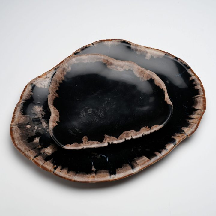 One of a Kind Set of Hand-Carved Indonesian Petrified Wood Plates