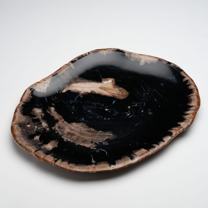 One of a Kind Set of Hand-Carved Indonesian Petrified Wood Plates