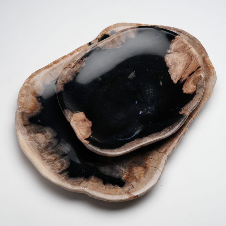 One of a Kind Set of Hand-Carved Indonesian Petrified Wood Plates