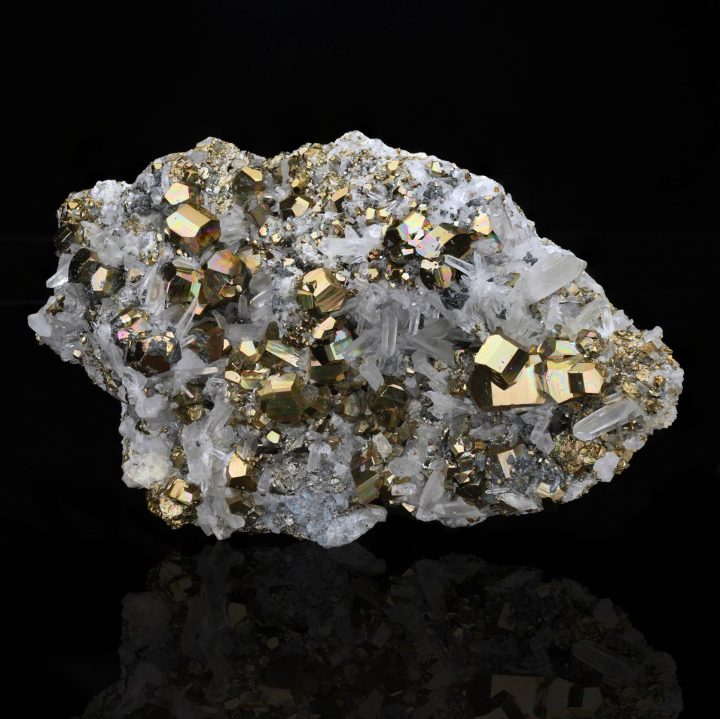 Natural pyrite on quartz specimen displaying gold metallic crystals embedded in a bright quartz matrix