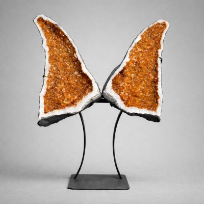 Large 5 ft Genuine Citrine Butterfly Wings on Custom Stand – Crystal Sculpture