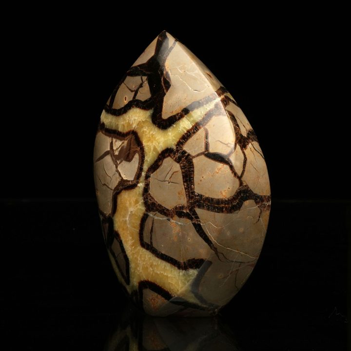 Polished Septarian Freeform Sculpture – Natural Décor Accent