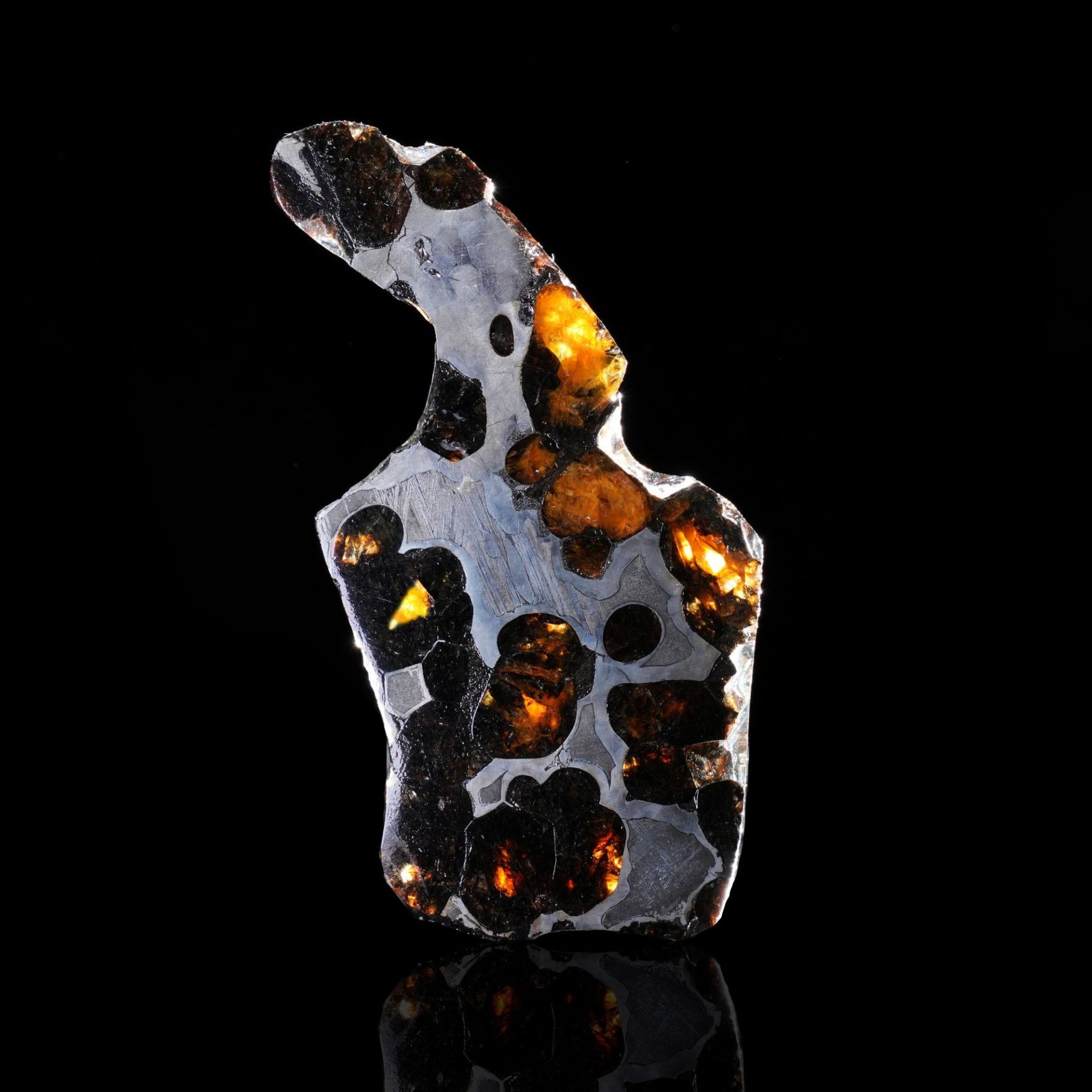 A polished slice of a pallasite meteorite shows luminous orange olivine crystals in a silvery metallic matrix, on a black background with reflection.