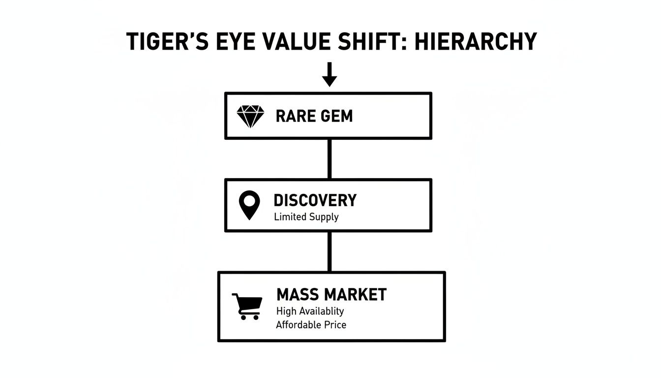 Hierarchy chart showing the Tiger's Eye value shift from rare gem with limited supply to mass market with high availability and affordable price.