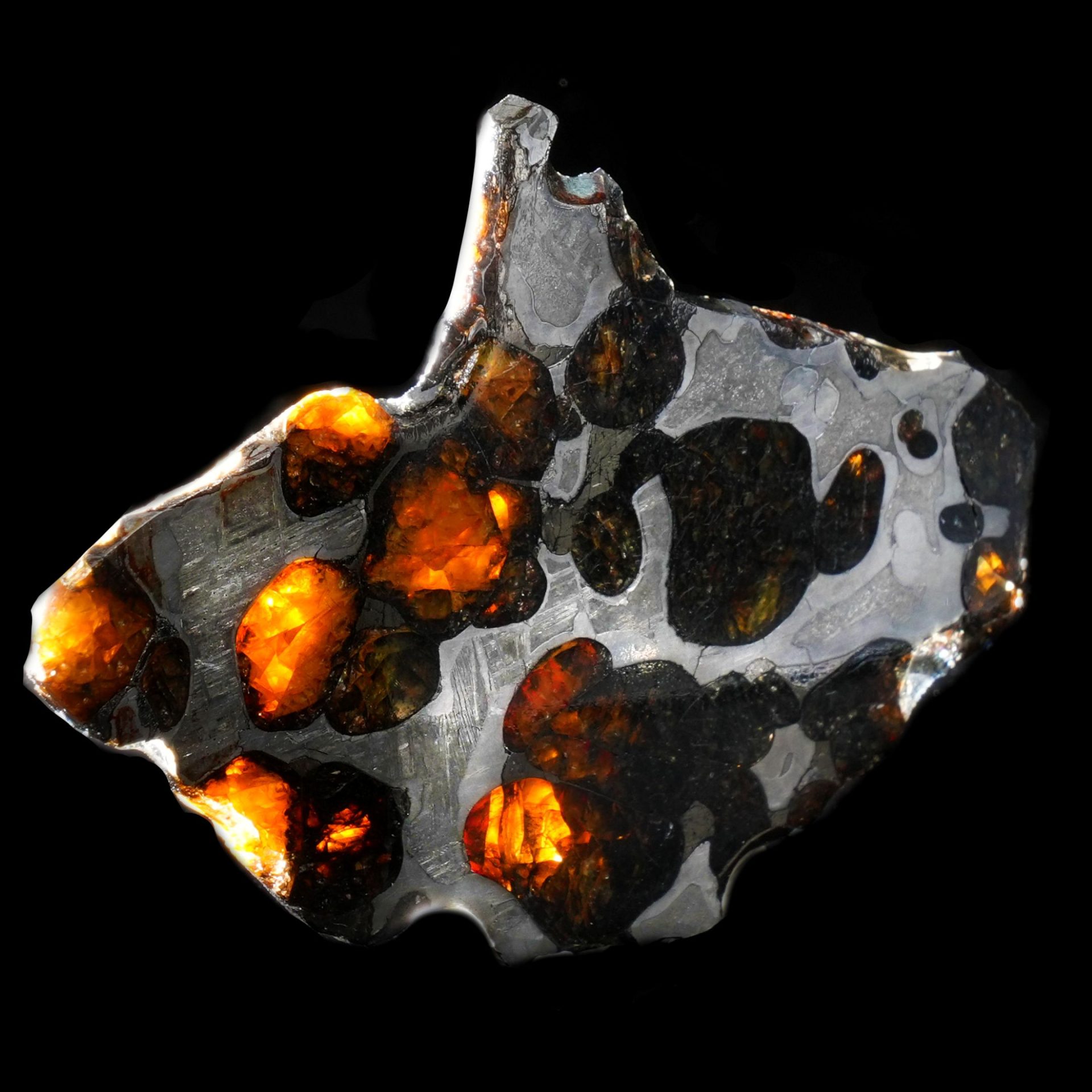 Authentic Pallasite Meteorite Slice – Translucent Olivine Crystals