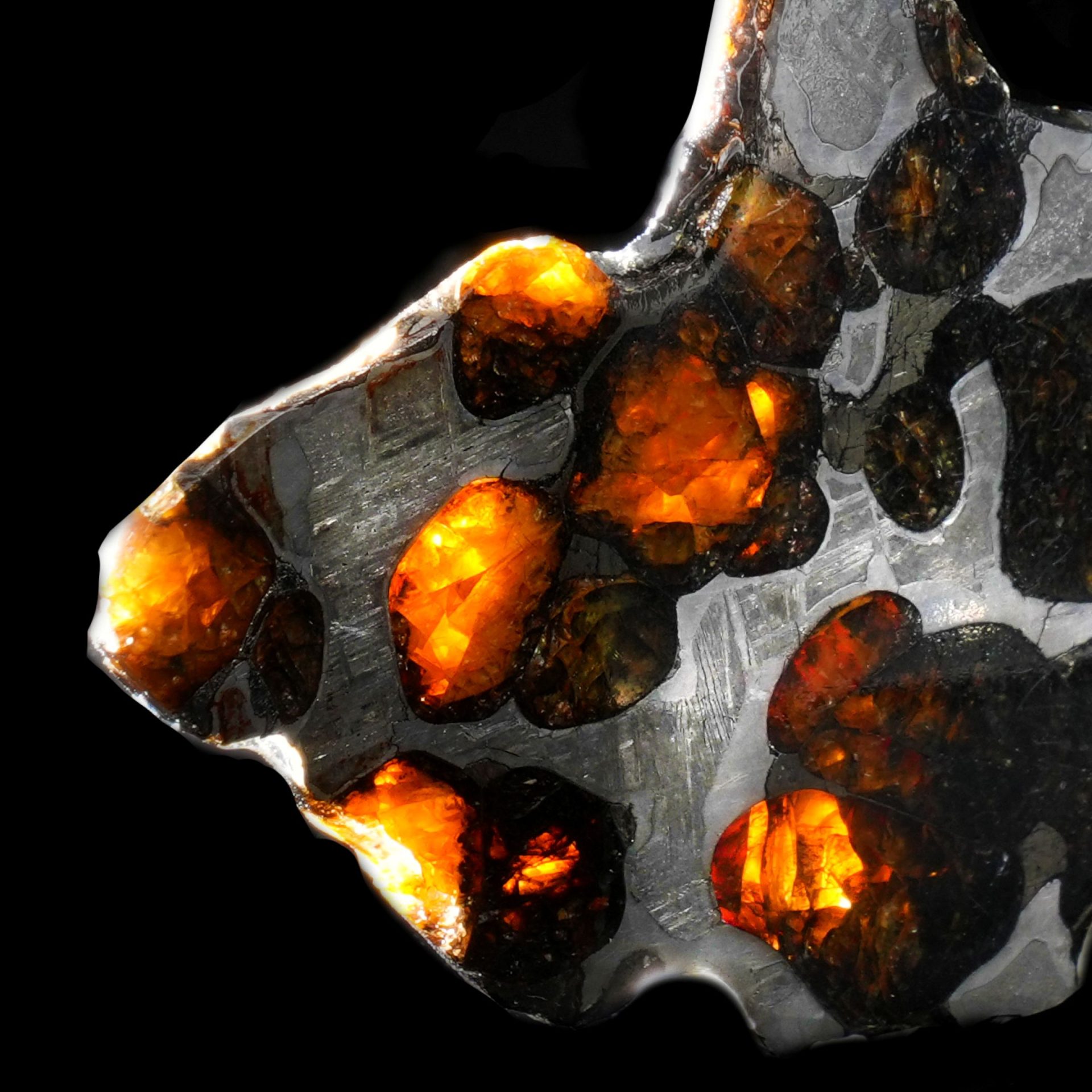 Authentic Pallasite Meteorite Slice – Translucent Olivine Crystals