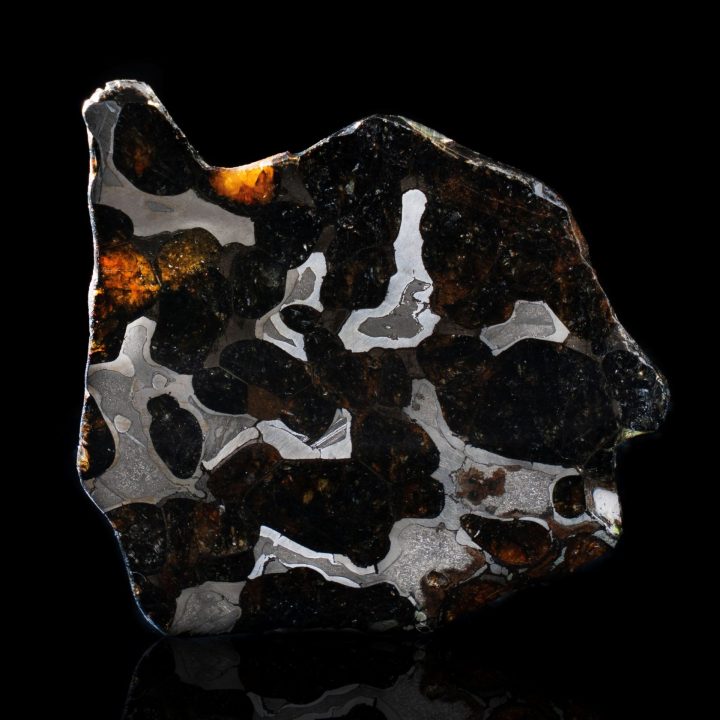 Authentic Brenham Pallasite Meteorite Slice - Iron Nickel Matrix