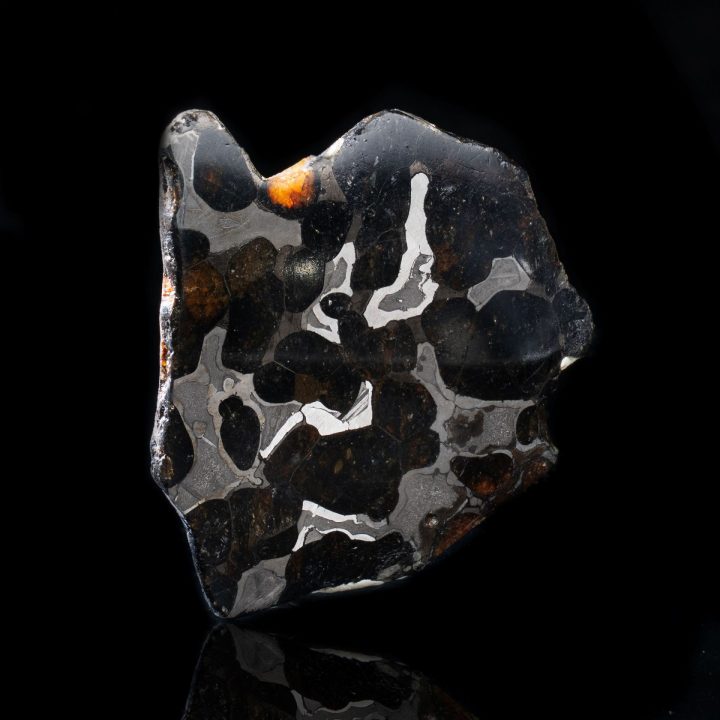 Authentic Brenham Pallasite Meteorite Slice - Iron Nickel Matrix