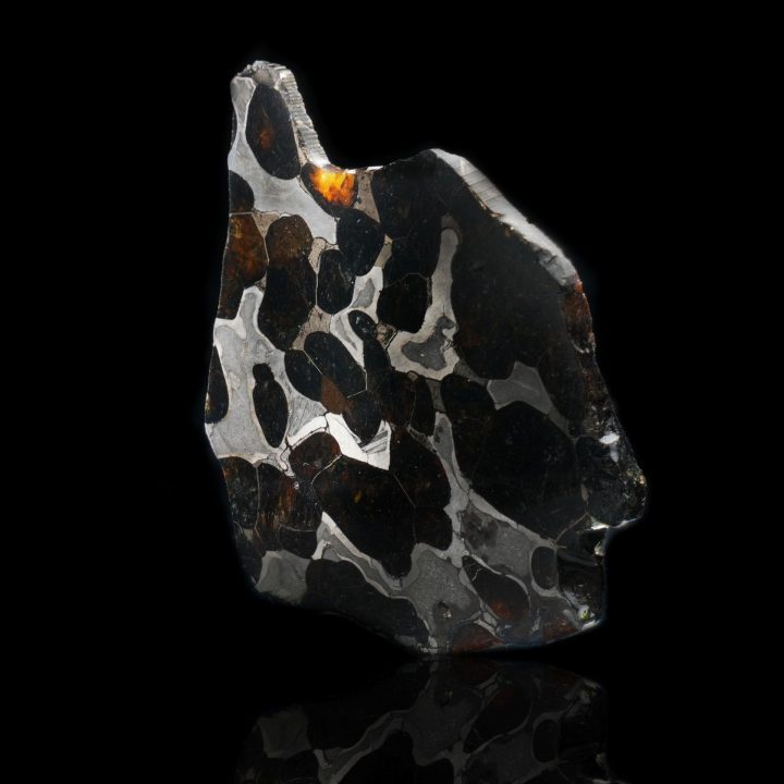 Authentic Brenham Pallasite Meteorite Slice - Iron Nickel Matrix