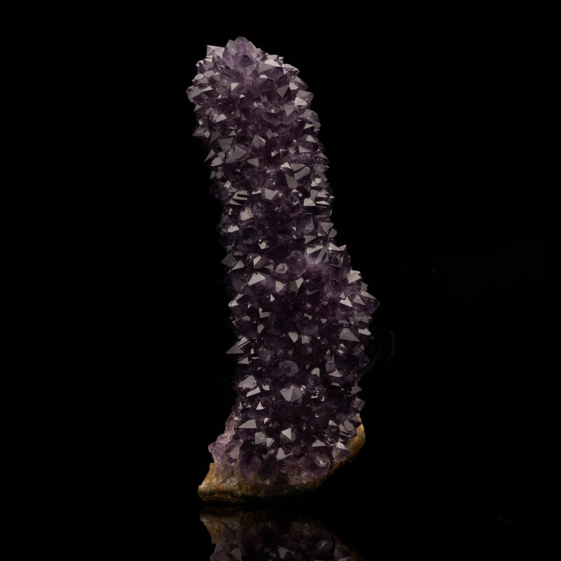 A stunning dark purple amethyst stalactite, covered in sharp crystals, reflecting on a black surface.