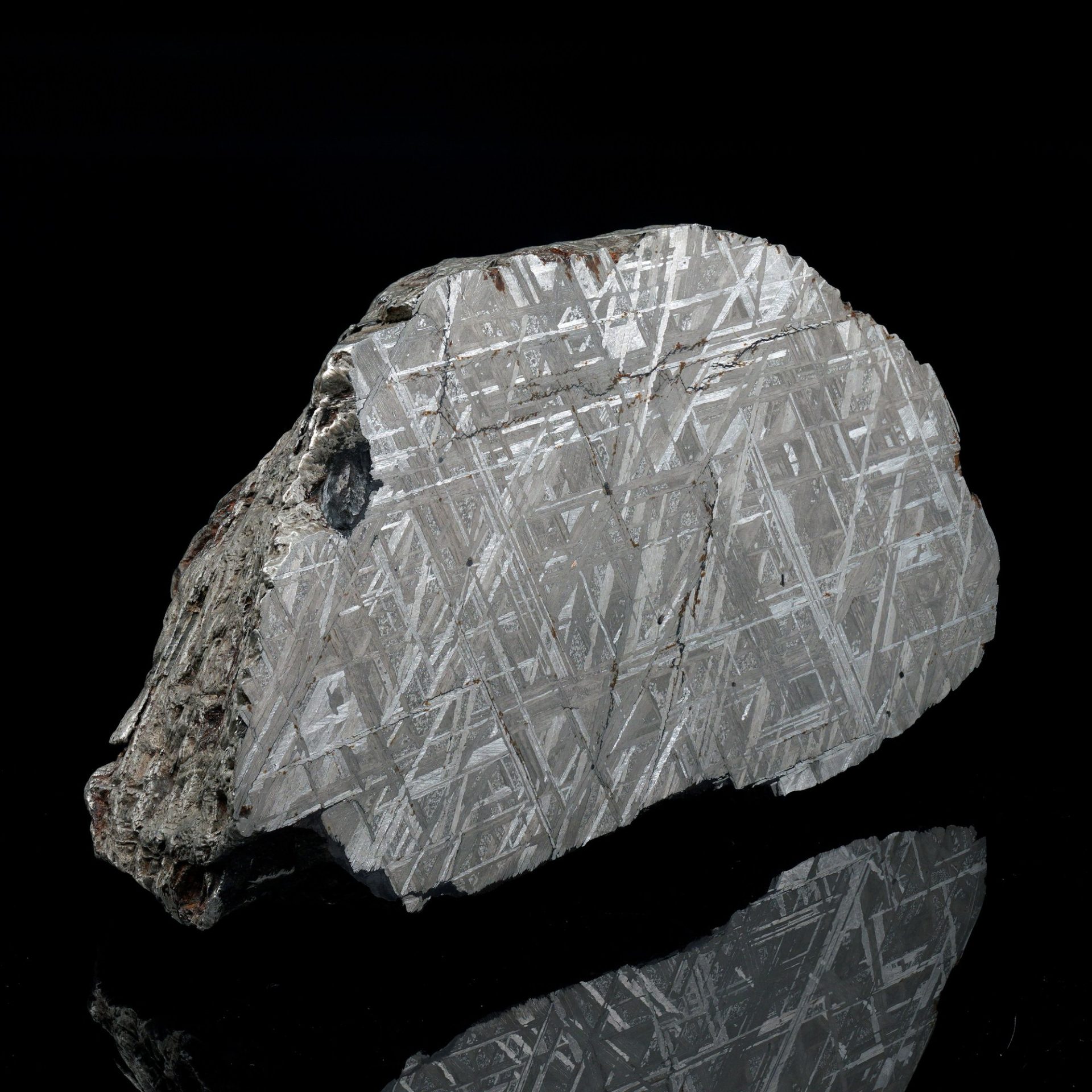 A polished iron meteorite slice, exhibiting a striking Widmanstätten pattern, on a reflective black background.