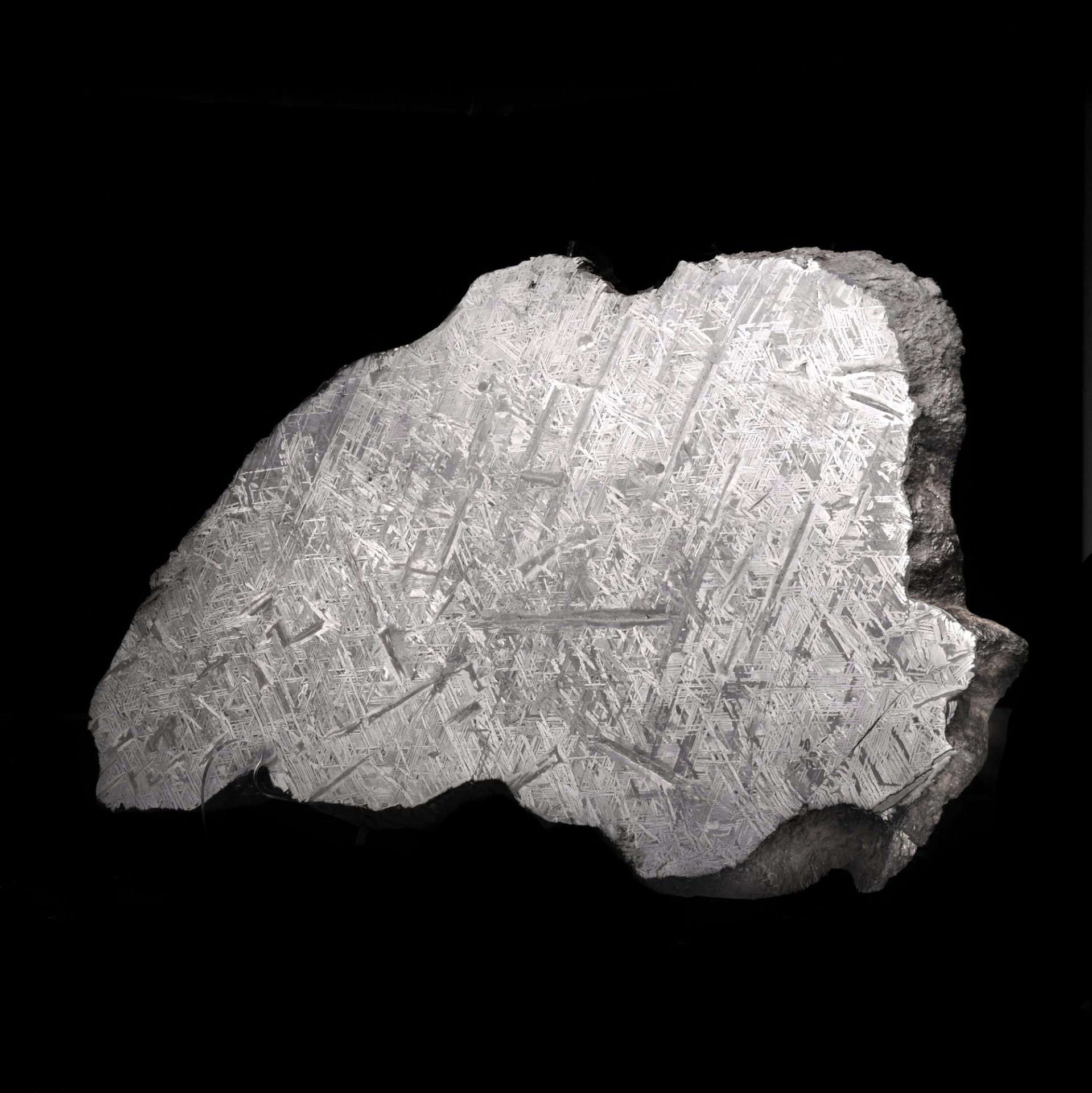 A polished slice of an iron meteorite showing intricate crystalline patterns against a black background.
