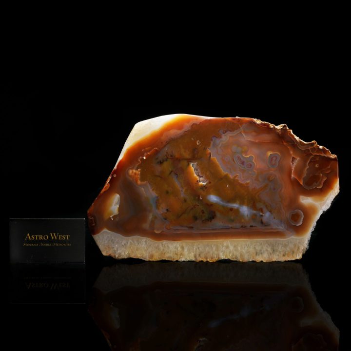Natural Agate Slice - Vibrant Banded Chalcedony Display Specimen