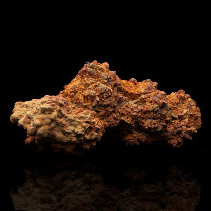 Authentic Dinosaur Coprolite Dung Fossil – 282 g